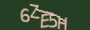 validcode